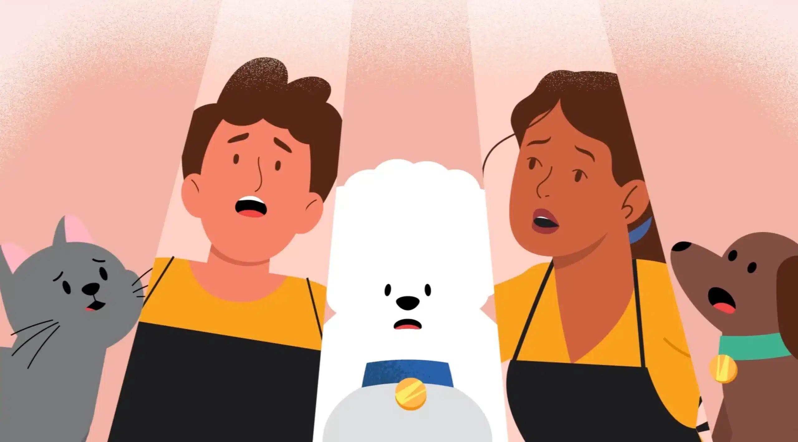 Pie Insurance – Pet salon