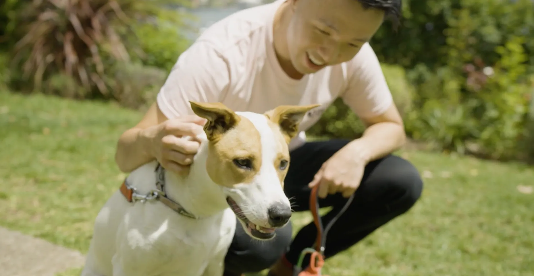 SPS Commerce: Pet Culture